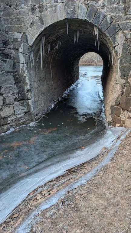 Morgan 111 Trail Cam 10