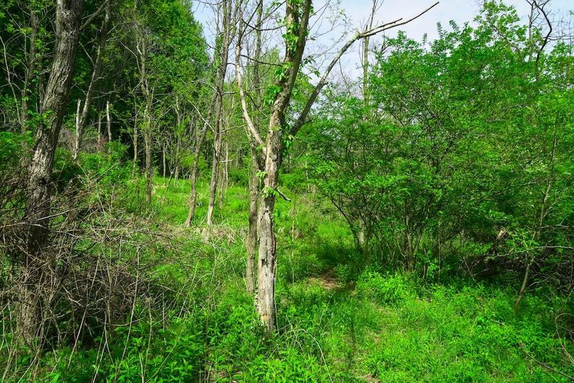 DSC00250