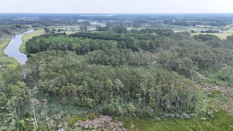 IMG19_60AC_dji_fly_20250613_103512_0018_1749852298989_photo