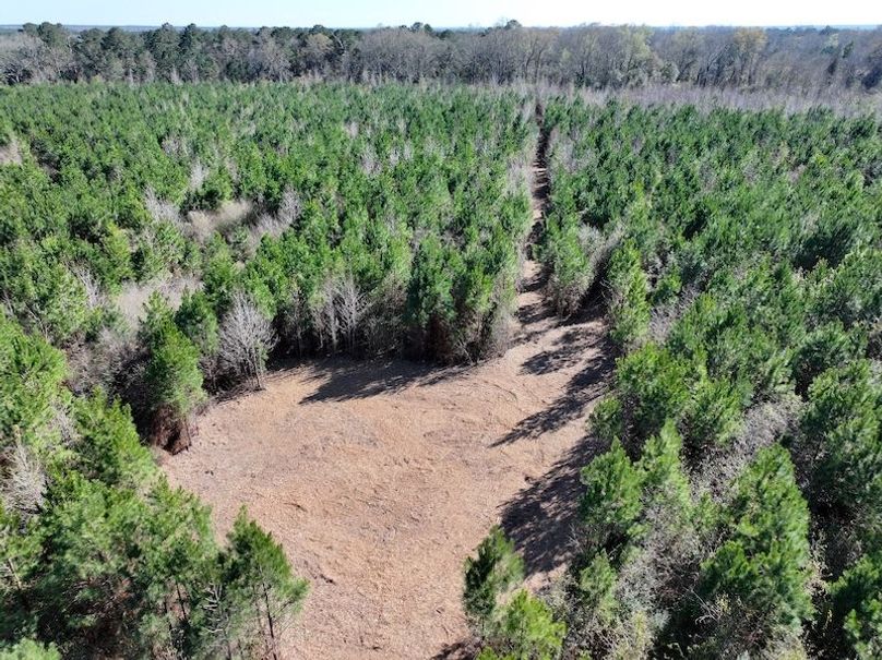 dji_fly_20260302_131052_0355_1772559695678_photo