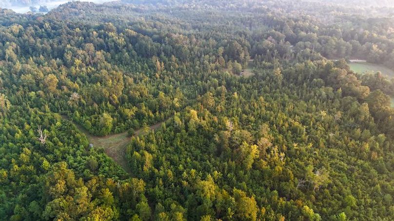 Madison Co - 40 - Clerk-19