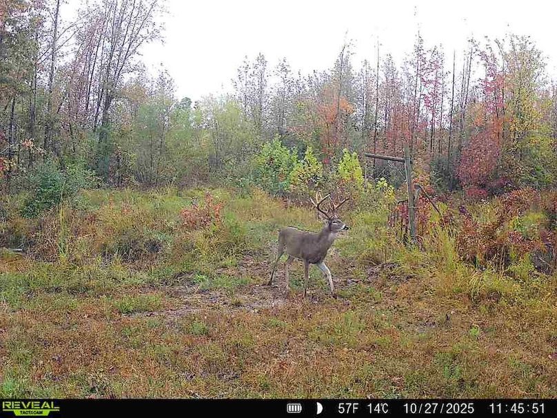 860516067719439-70-4-10272025114552-W1016689