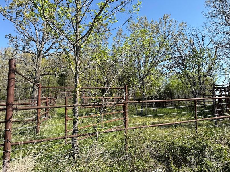 DJI_20260409_102816_235