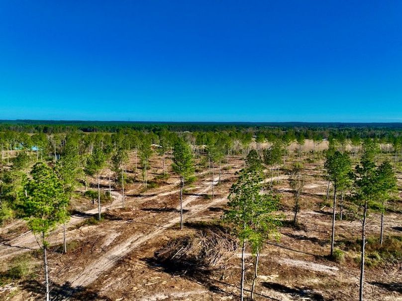 219E337E-A7C2-4D8E-B922-D27687E31D39_1_201_a