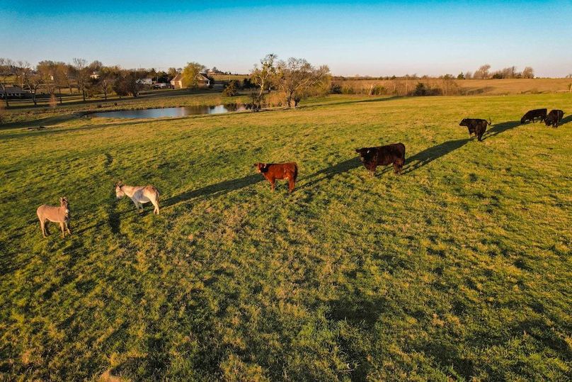 Grayson 20 acres (23 of 26)