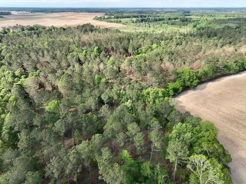 dji_fly_20260427_095400_607_1777299971266_photo