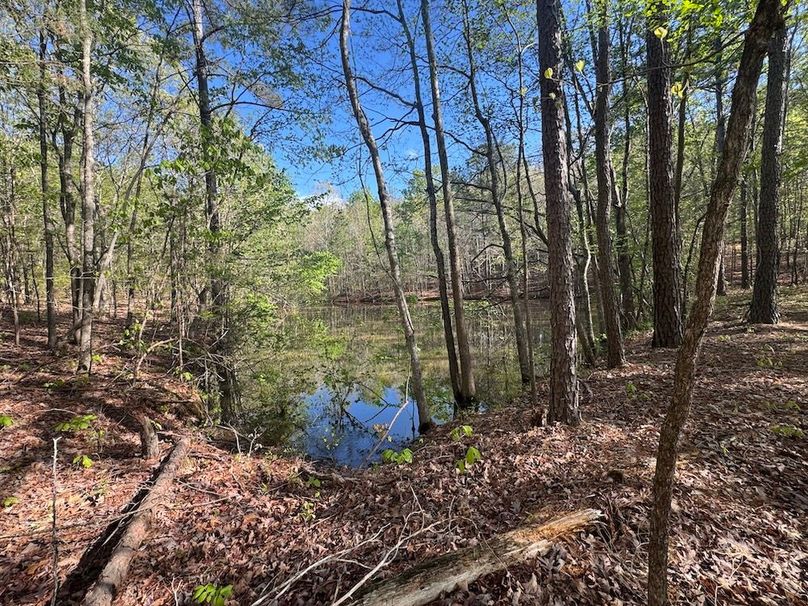 Hidden Pond2