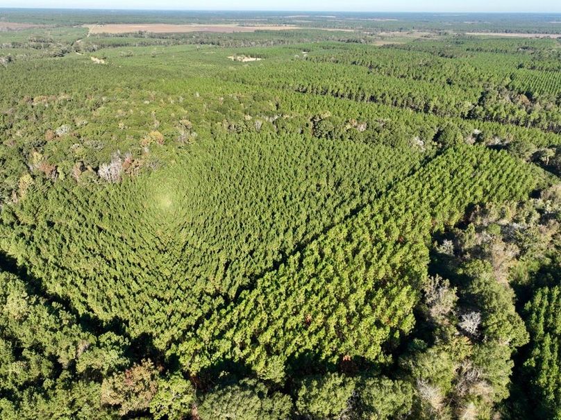 dji_fly_20251031_100644_980_1761919969775_photo