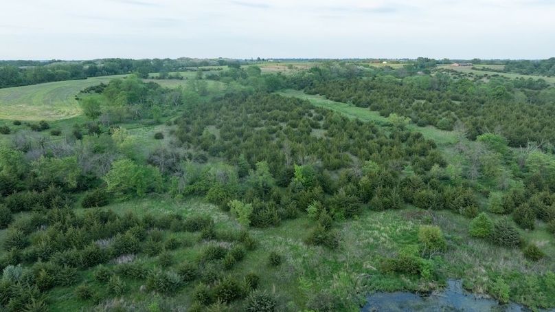 DJI_0221