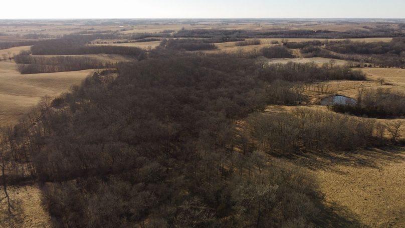 WORTH CO MO 537.44_93