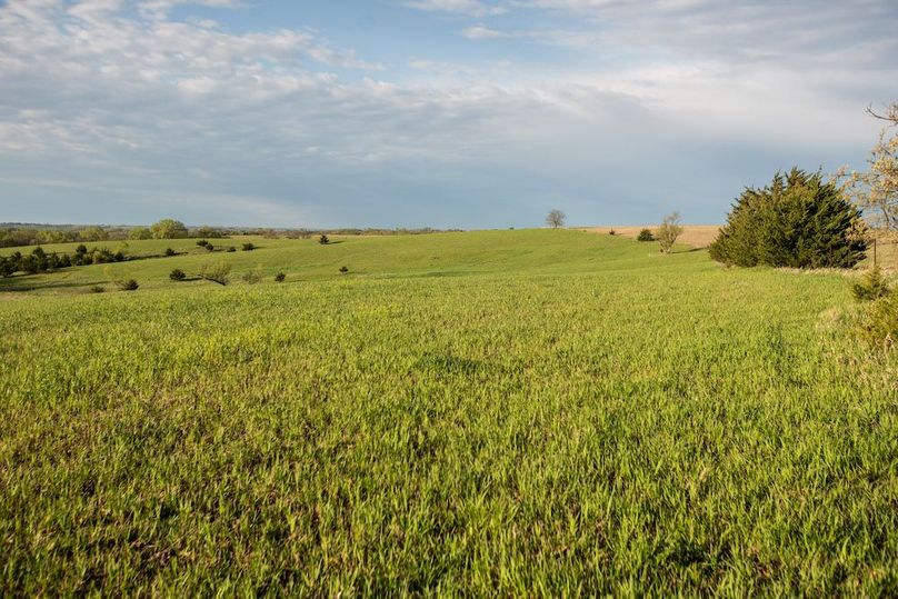 MONTGOMERY CO IA. 156.78_60