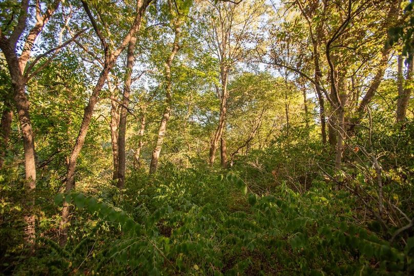 FREMONT CO IA 3.5_47