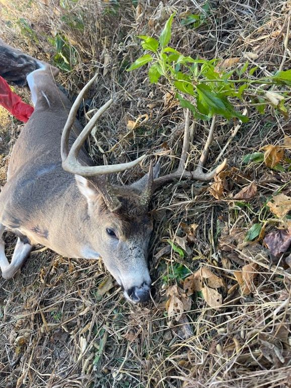 trailcam1