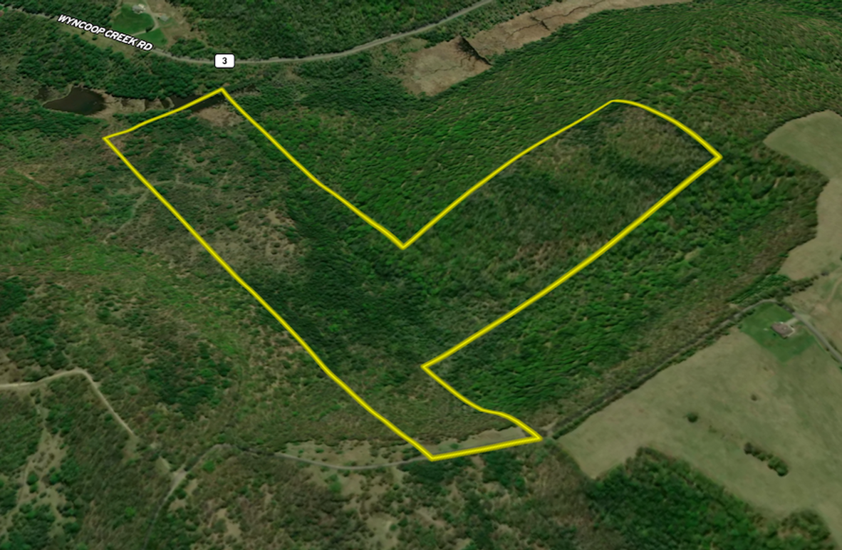 Chemung_78.26_Gutchess_Lumber_Landid_1