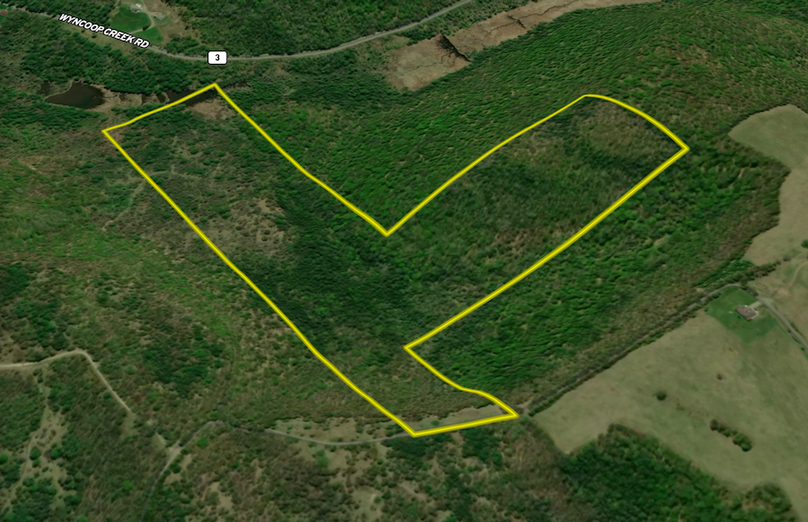 Chemung_78.26_Gutchess_Lumber_Landid_1