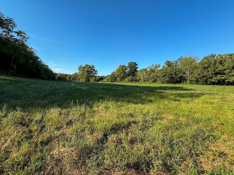 Fleming 32.98 new pic -08