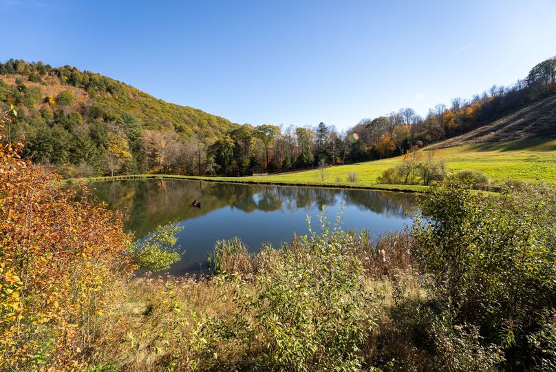 Elk PA 7000 Feature_Pro Photo-57