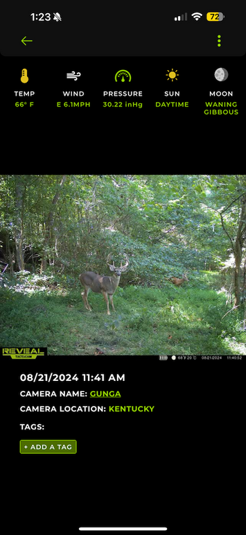 trailcam8