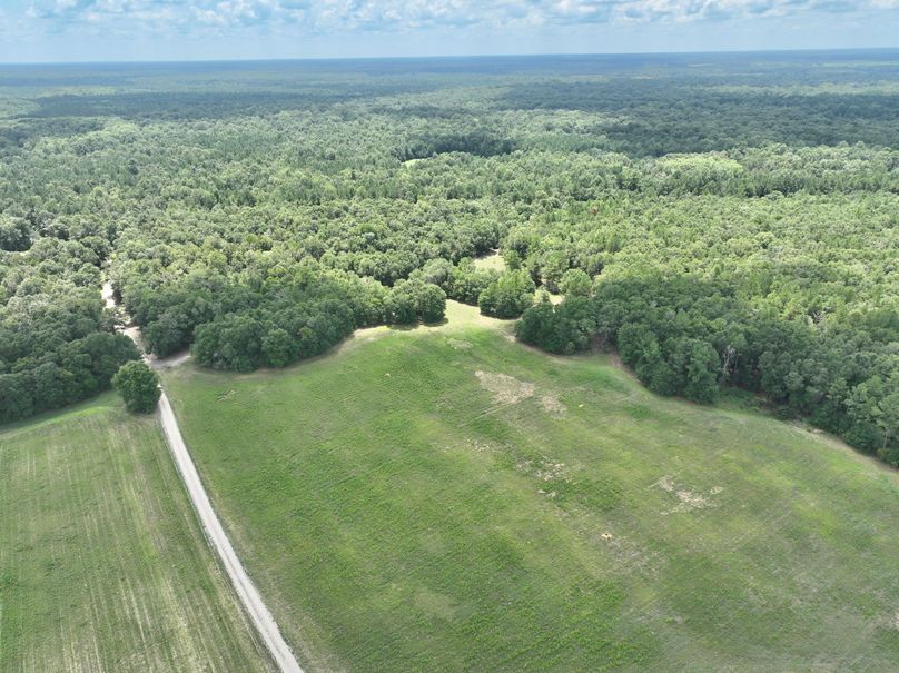 dji_fly_20230731_132134_432_1690845837982_photo