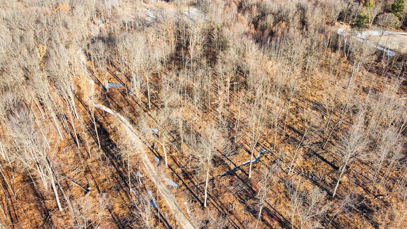 ClarK 160 WILLIAMS -38