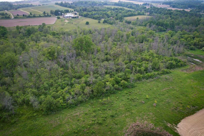 Ontatio_73.3_Green Photo 17