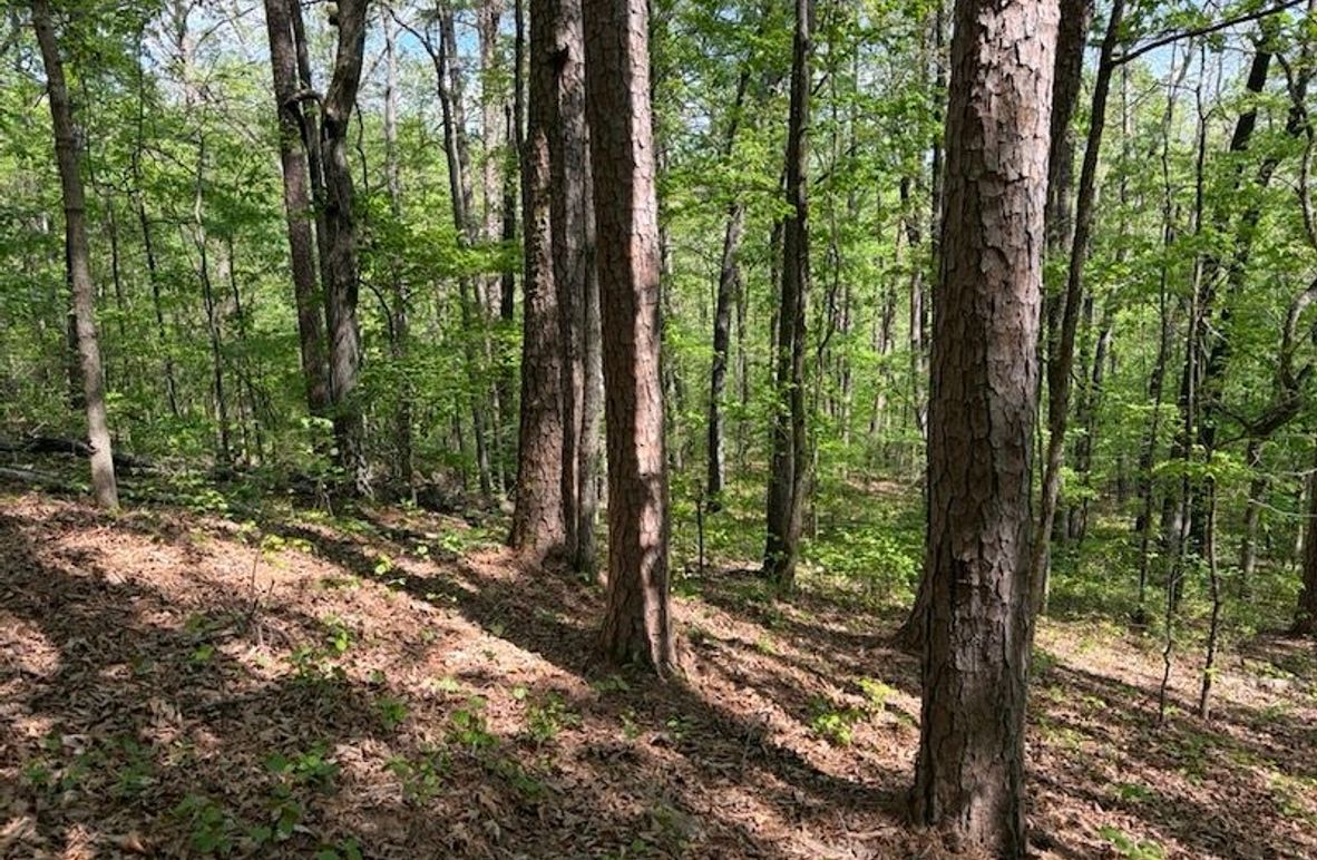 07DCCDAF-D2B0-41B5-A7D8-9F805329C3D1_1_105_c