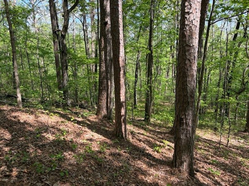 07DCCDAF-D2B0-41B5-A7D8-9F805329C3D1_1_105_c