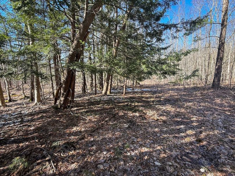 Oswego_16.32_Phillips Photo 10