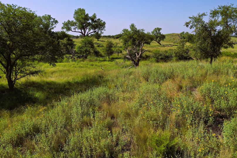 DJI_0082-Steves-Laptop