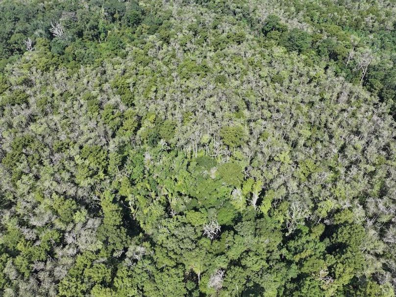 dji_fly_20250826_104448_0382_1756227533879_photo