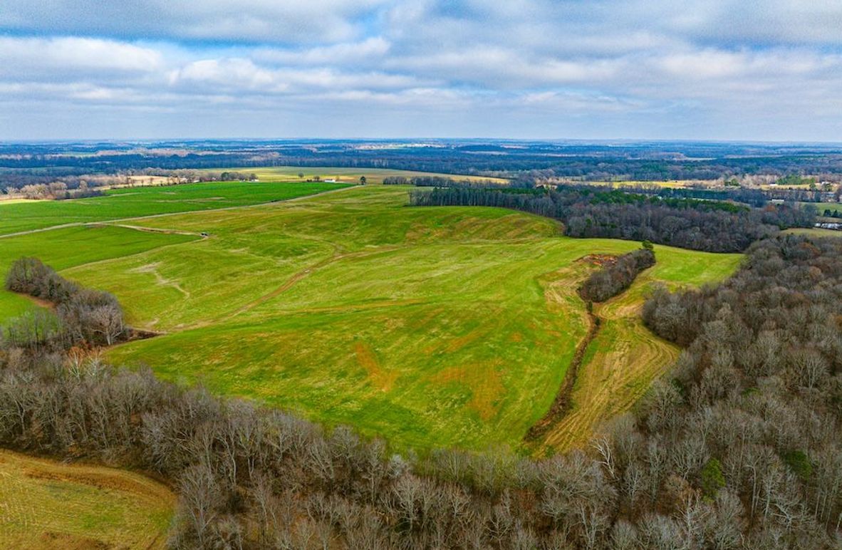 Henry 137 Miller-03-2