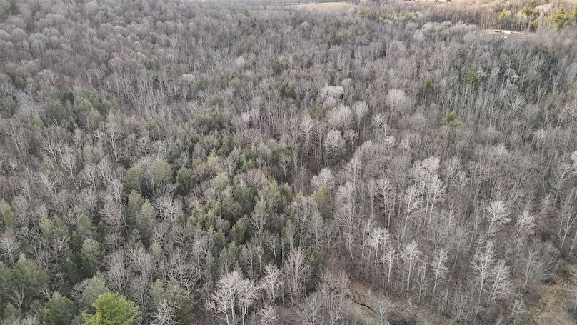 Chemung_59.65_Kocsis_photos_38