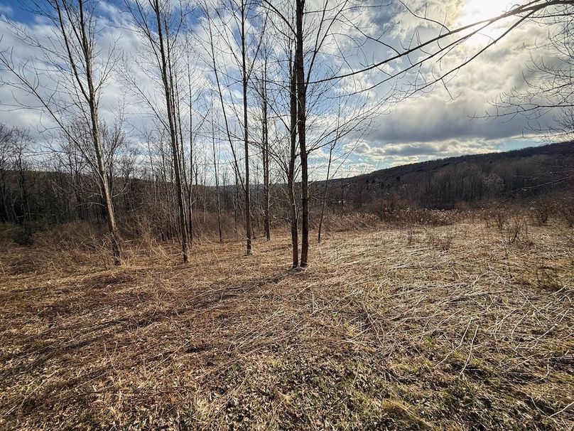 Chemung_59.65_Kocsis_photos_11