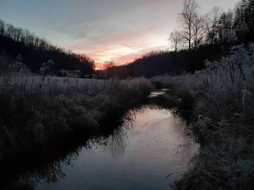 058 view up the creek in the east area of the property