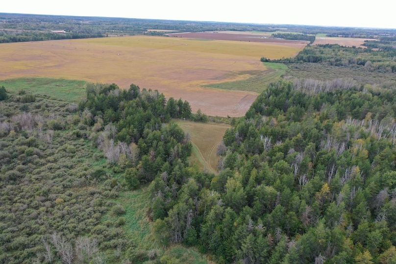 DJI_0883