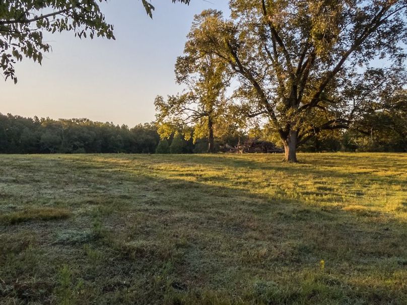 Hinds Co - 30 - Newman-06