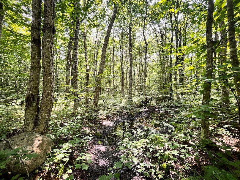 Oswego_100_Roof_Photos_54