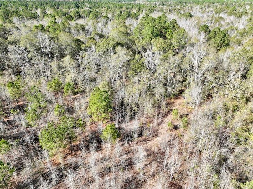 dji_fly_20251128_133208_26_1764354898954_photo