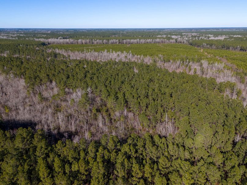 Pender NC 382 - Edits-40