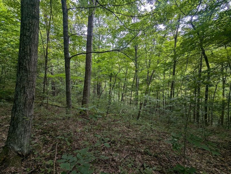 PXL_20240819_145640585