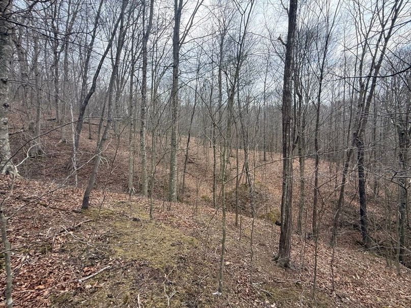 014 another beautiful draw draining to the north