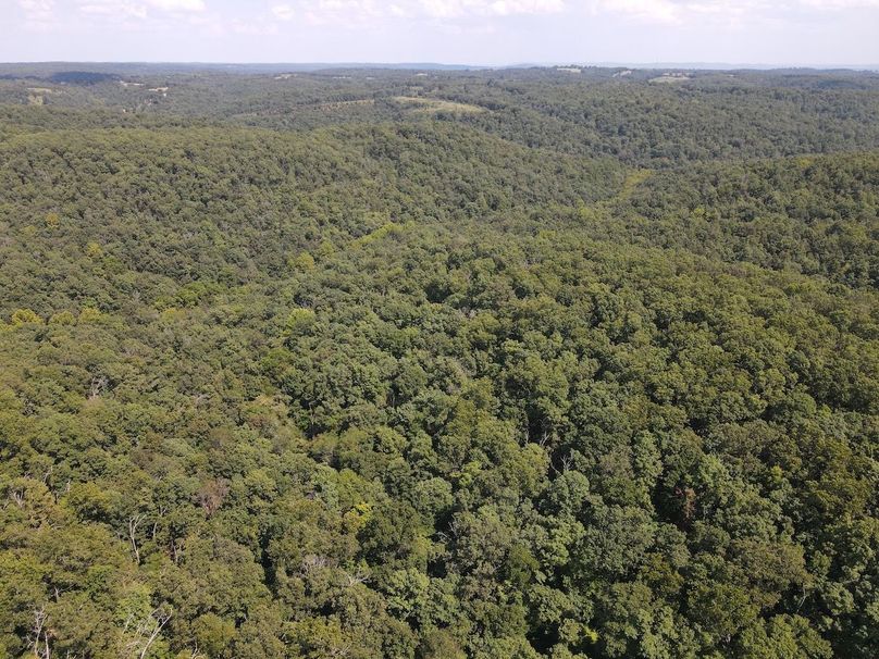 dji_fly_20250818_150914_669_1755547766663_photo