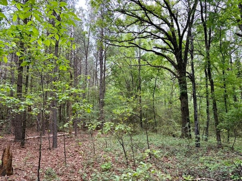 65F44065-2231-4BC7-8EBE-B4F21FD3BE22_1_105_c