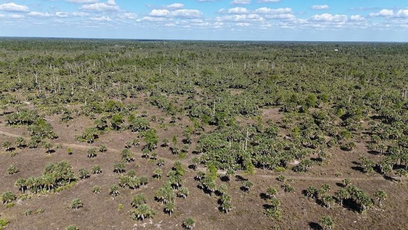 DJI_20251119125031_0993_D