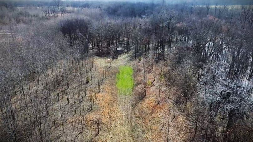 2025-02-13-13-13-18-051