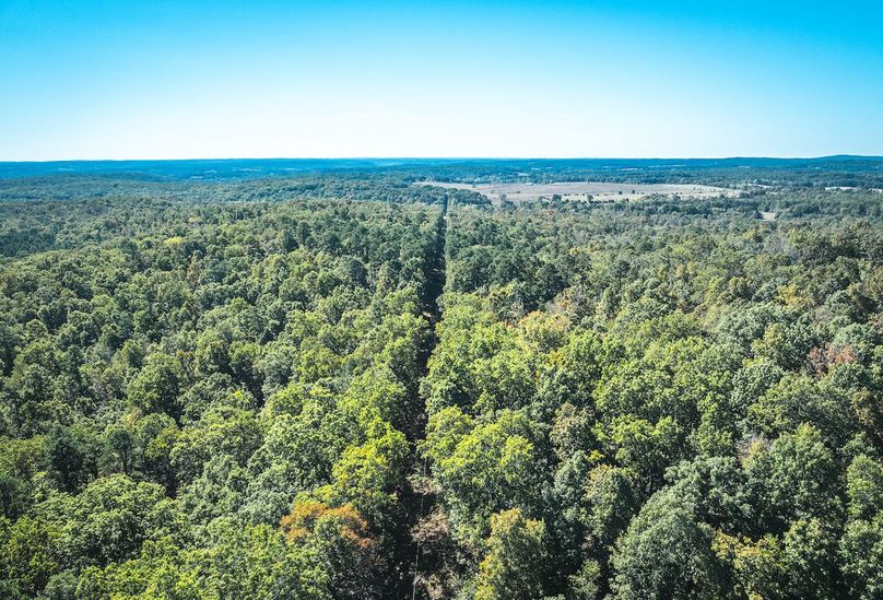 DJI_20251009045722_0592_D