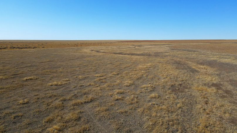 DJI_0465