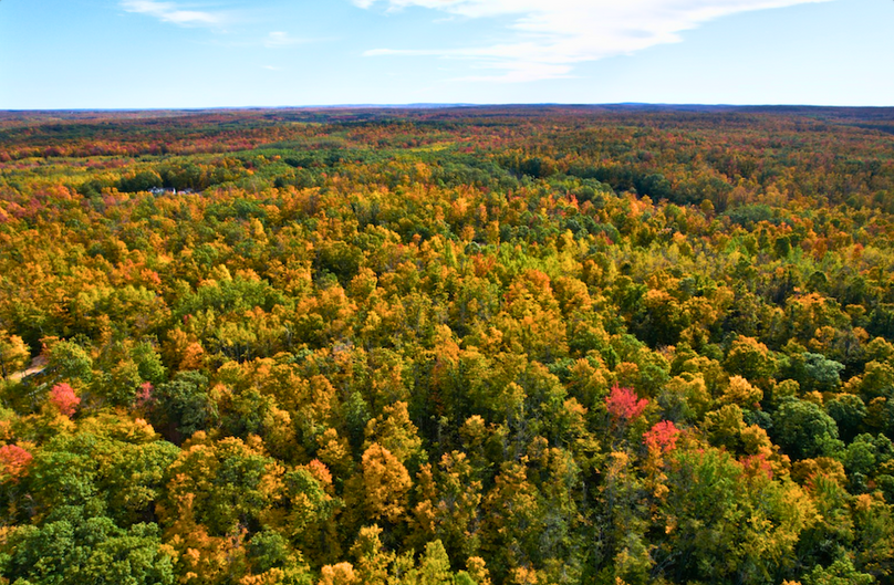 Screenshot 2025-11-11 at 1.06.27 PM