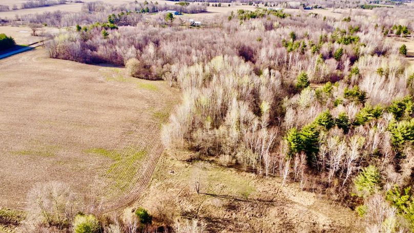 dji_fly_20230504_180744_696_1683241675222_photo_optimized