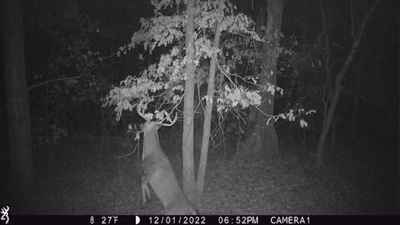 Buck 132 2